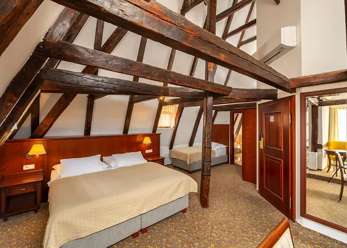 Hotel Cerny Slon