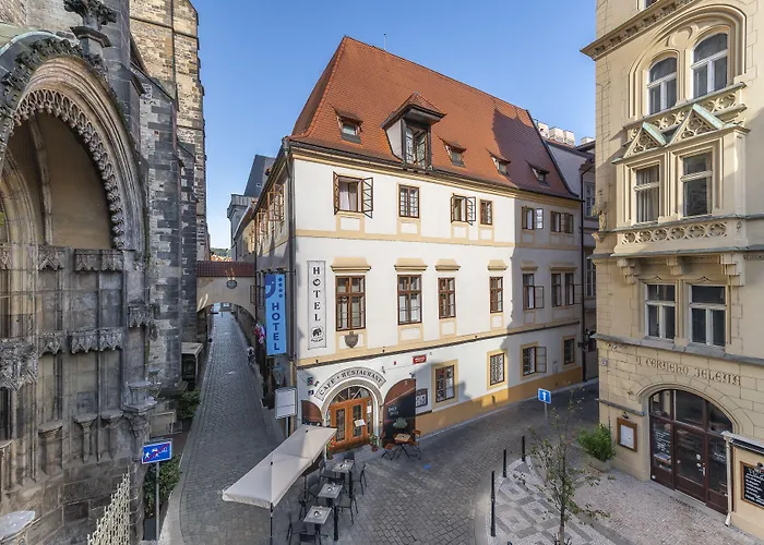 Hotel Cerny Slon